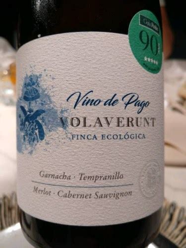 volaverunt vino|2020 Pago Aylés Volaverunt 